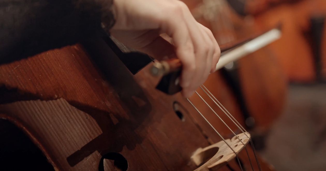 Arco y cuerdas de un cello, fotografía de referencia
